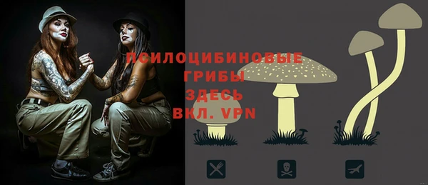 PSILOCYBIN Алексин