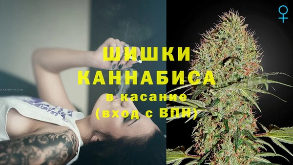 гашик Абинск
