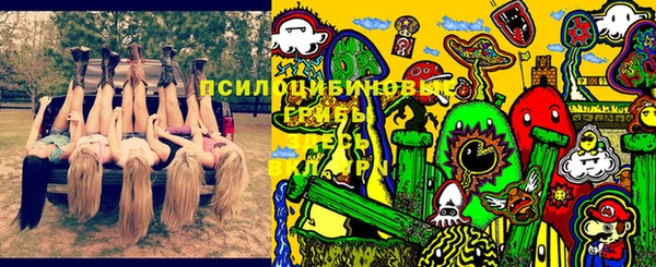 гашик Абинск